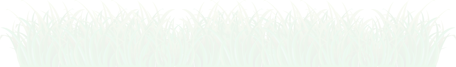 Leaf Png